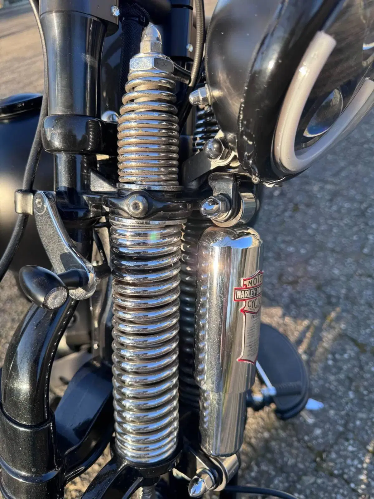 Harley-Davidson 1584 Cross Bones (2008 - 11) - FLSTSB (3)