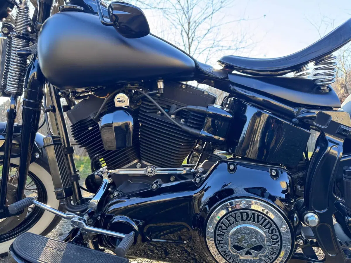 Harley-Davidson 1584 Cross Bones (2008 - 11) - FLSTSB (4)