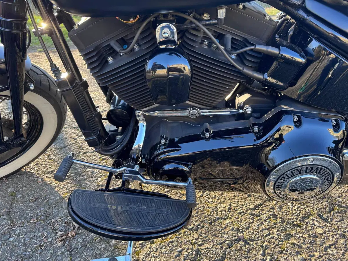 Harley-Davidson 1584 Cross Bones (2008 - 11) - FLSTSB (5)
