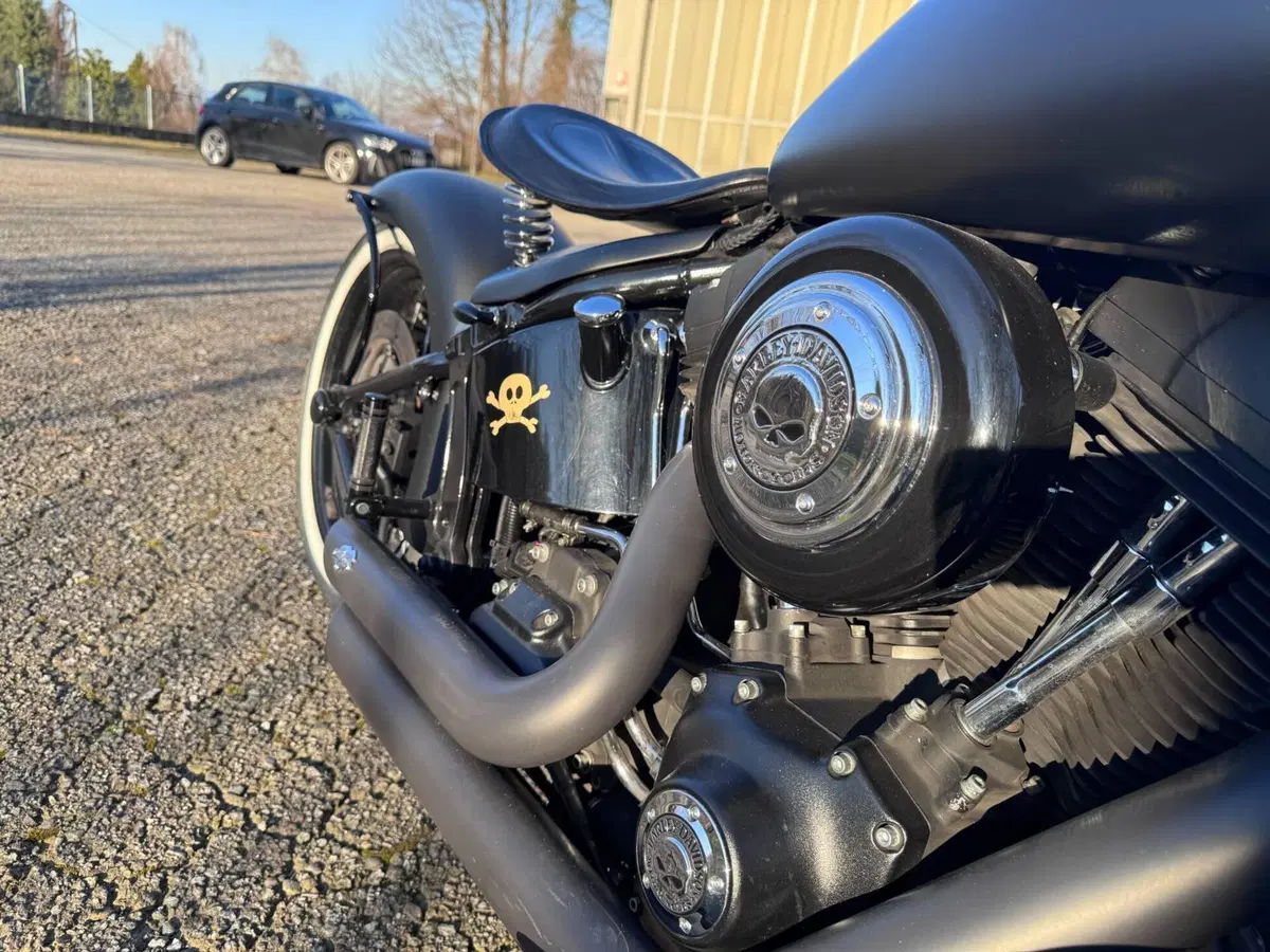 Harley-Davidson 1584 Cross Bones (2008 - 11) - FLSTSB (6)