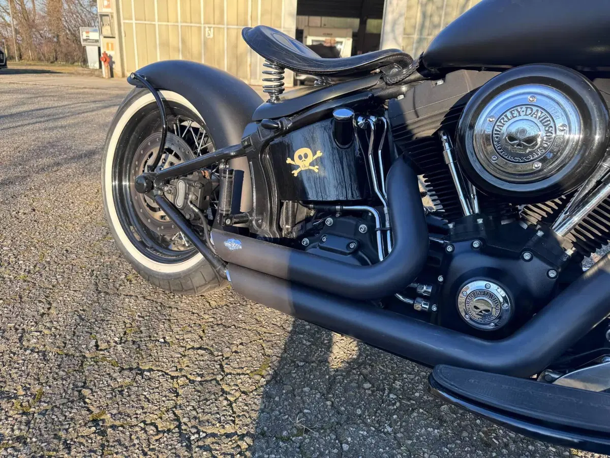 Harley-Davidson 1584 Cross Bones (2008 - 11) - FLSTSB (7)
