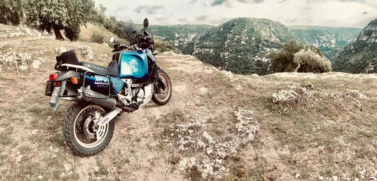 Honda Africa Twin XRV 750 (1993 - 95) (4)
