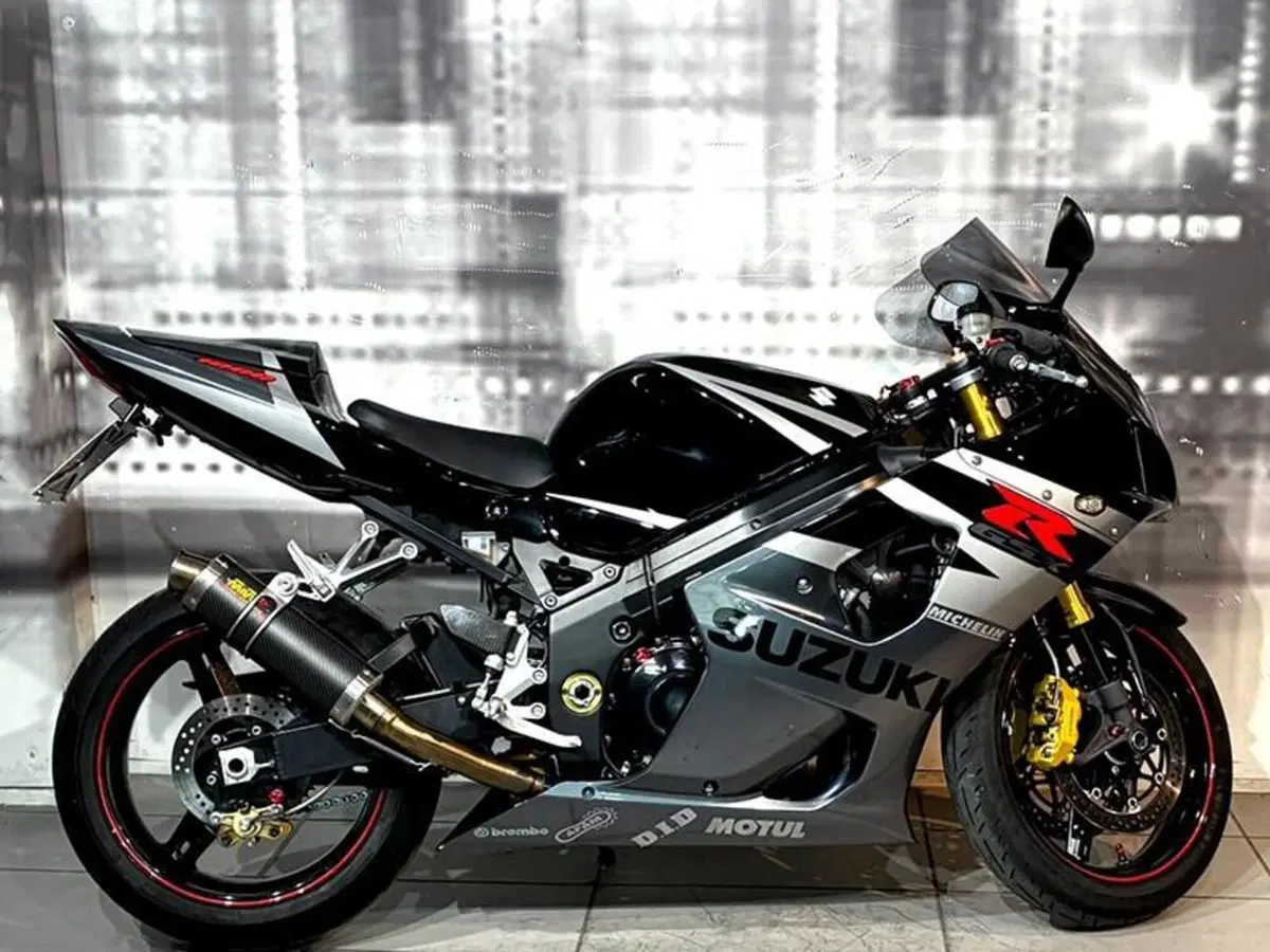 Suzuki GSX-R1000 (2005 - 06) (5)