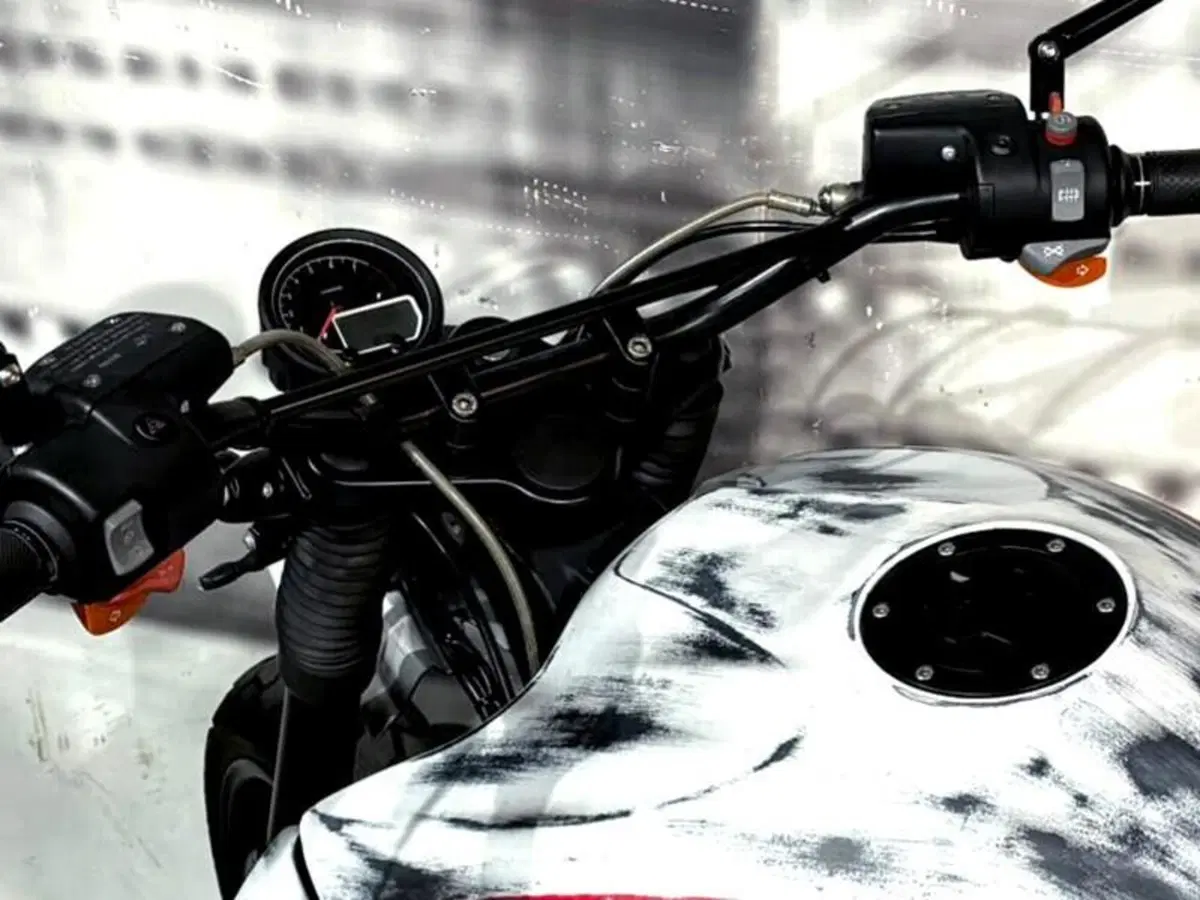 Bmw R 1150 R Rockster (2003 - 06) (6)