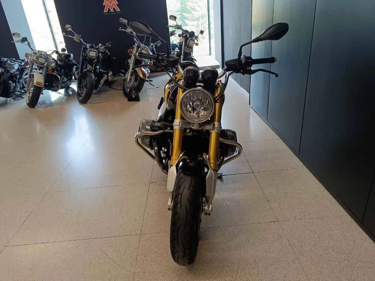 Bmw R nineT 1200 (2017 - 20) (3)