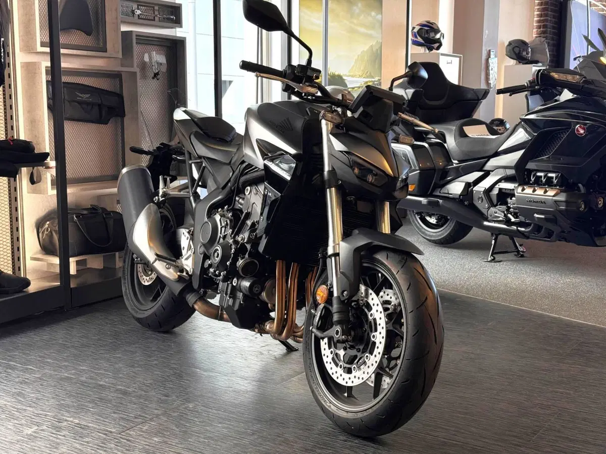 Honda CB 1000 Hornet (2025 - 26) (3)
