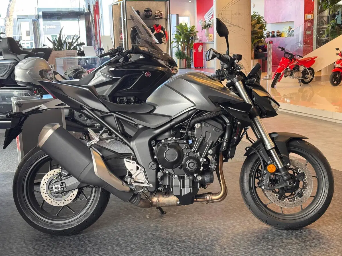 Honda CB 1000 Hornet (2025 - 26) (5)