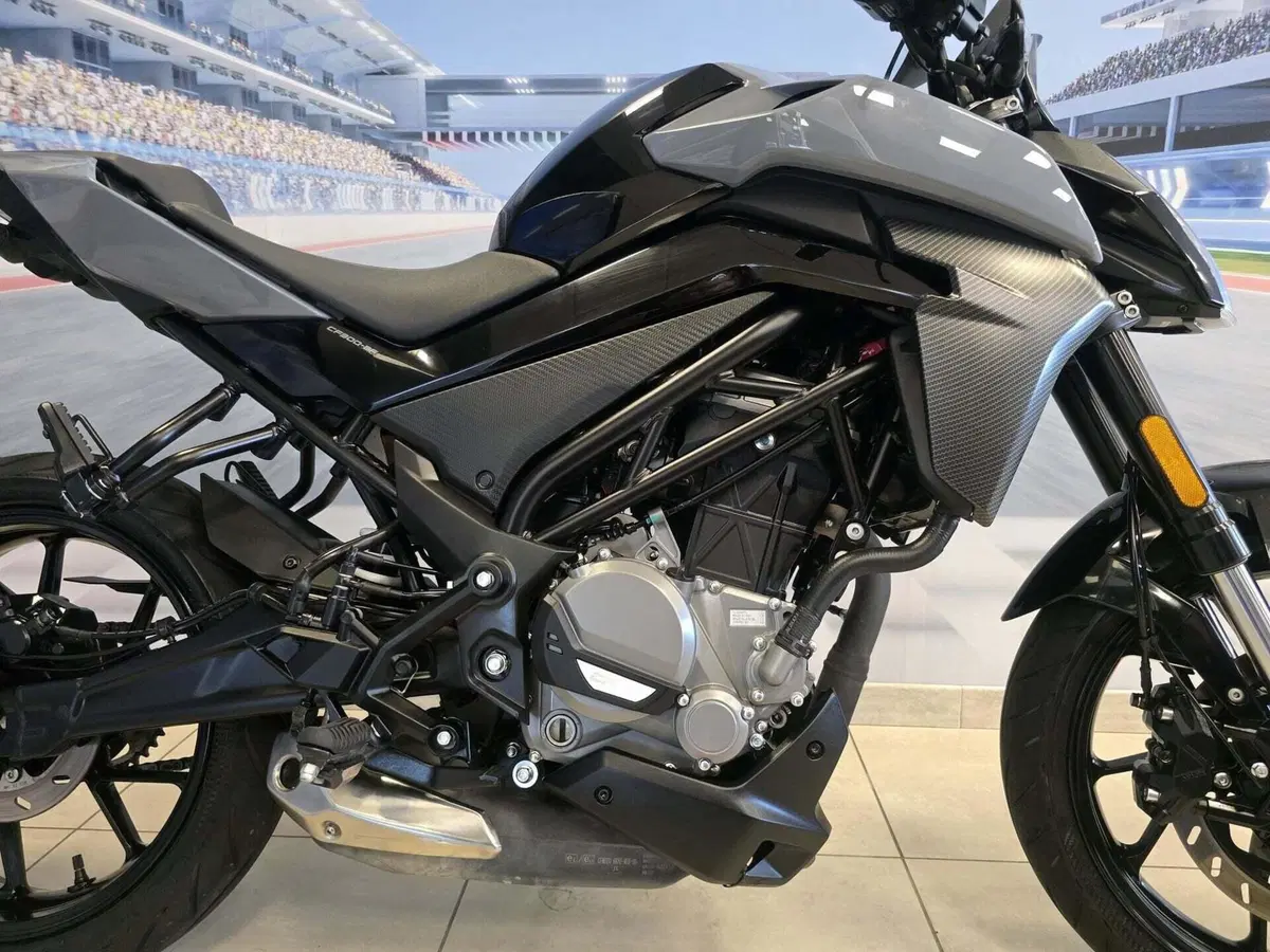 CFMOTO 300NK (2021 - 26) (16)