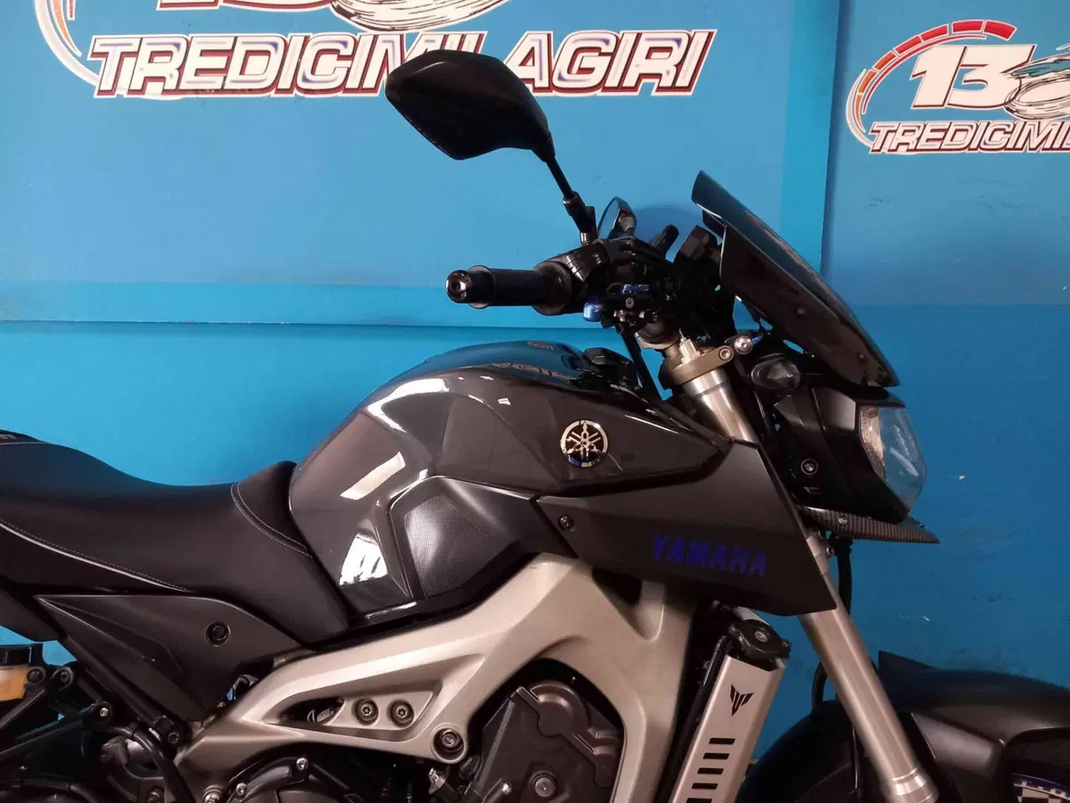 Yamaha MT-09 (2013 - 15) (18)