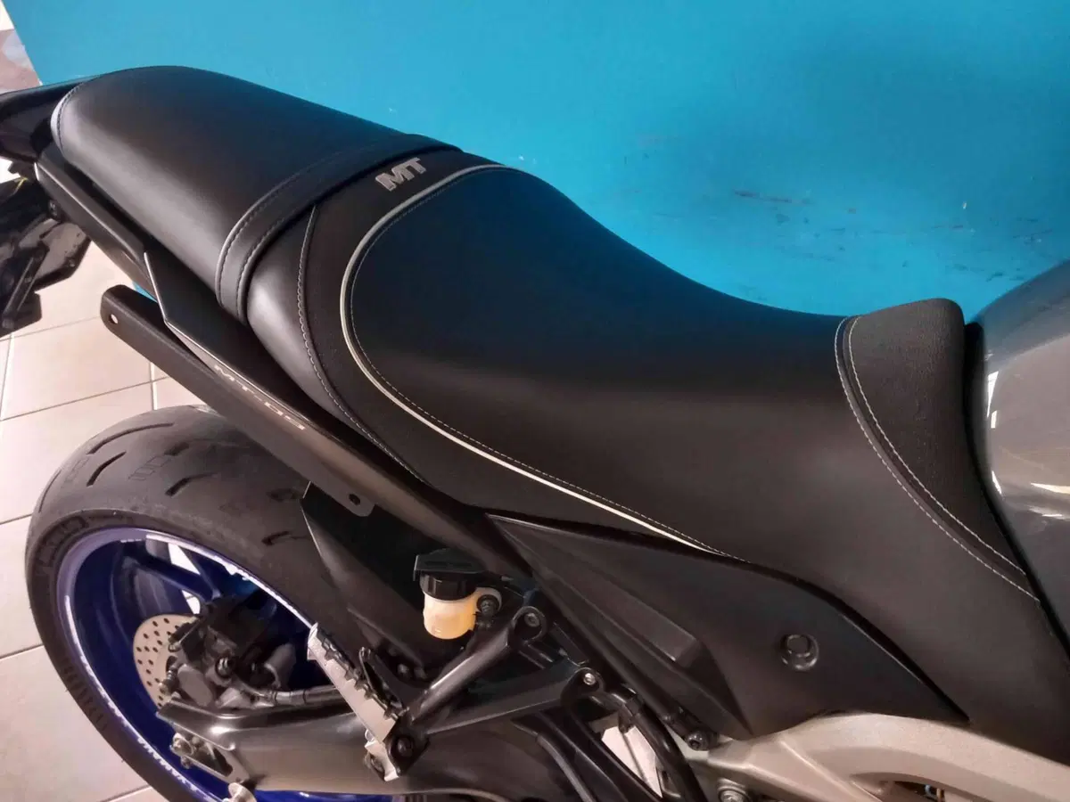 Yamaha MT-09 (2013 - 15) (15)
