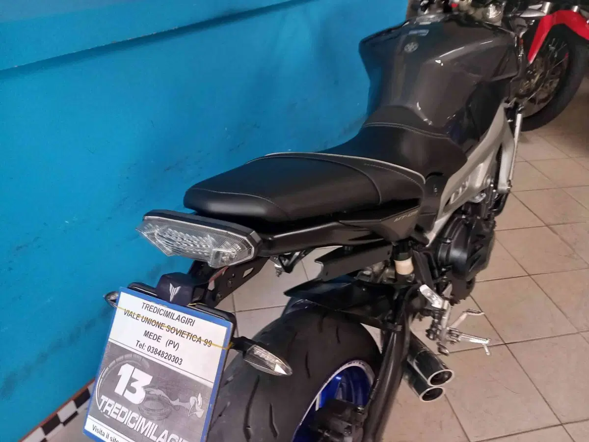 Yamaha MT-09 (2013 - 15) (16)
