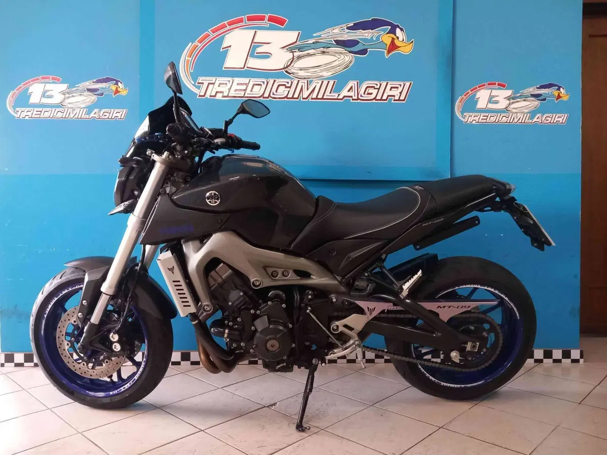 Yamaha MT-09 (2013 - 15) (4)