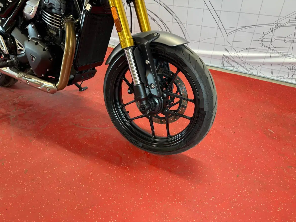 Triumph Speed 400 (2024 - 26) (9)