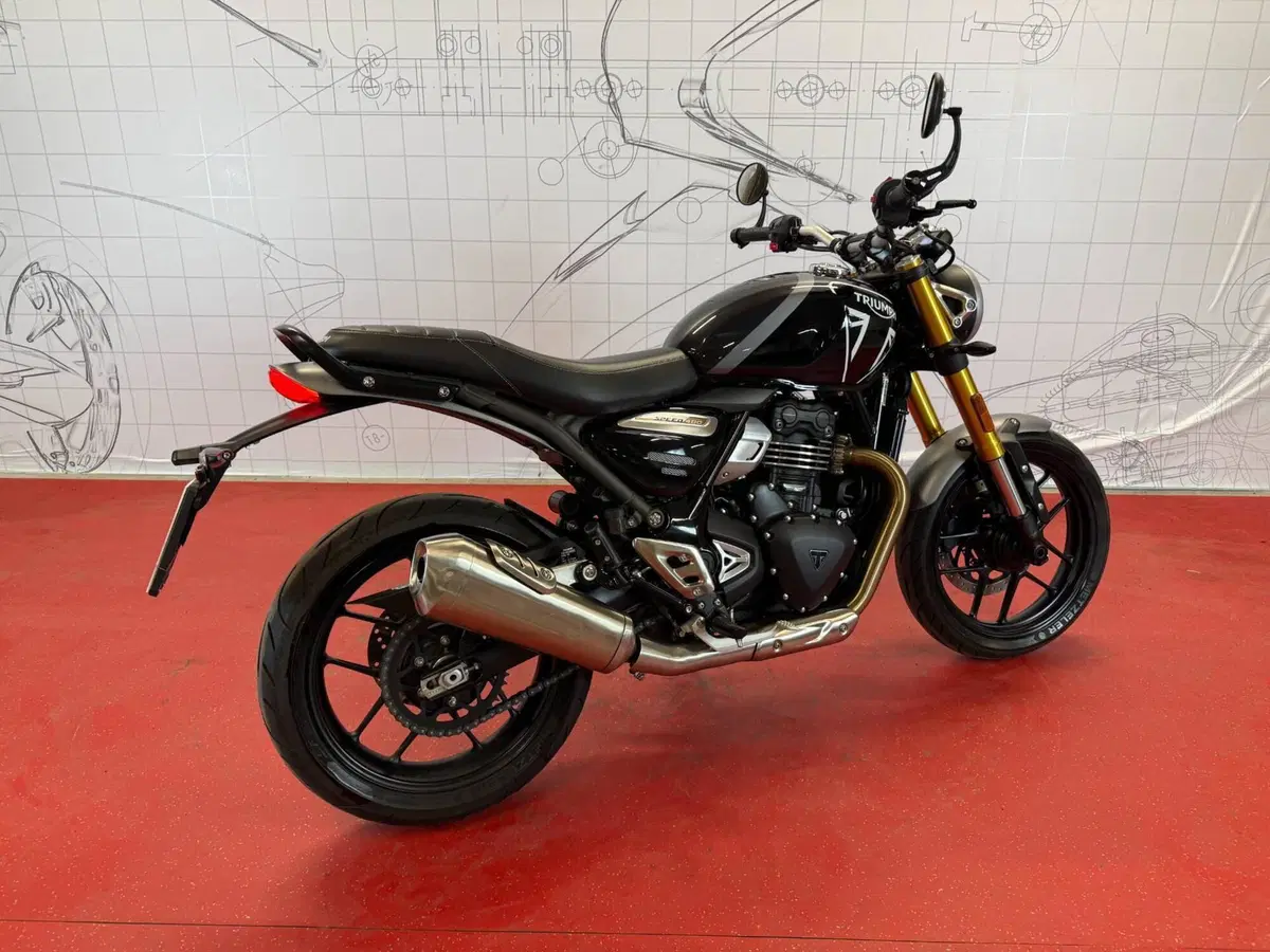 Triumph Speed 400 (2024 - 26) (3)