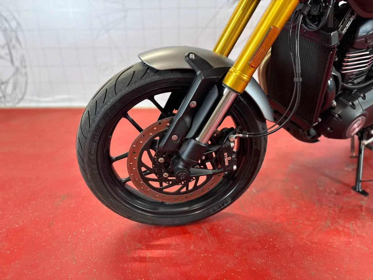 Triumph Speed 400 (2024 - 26) (13)
