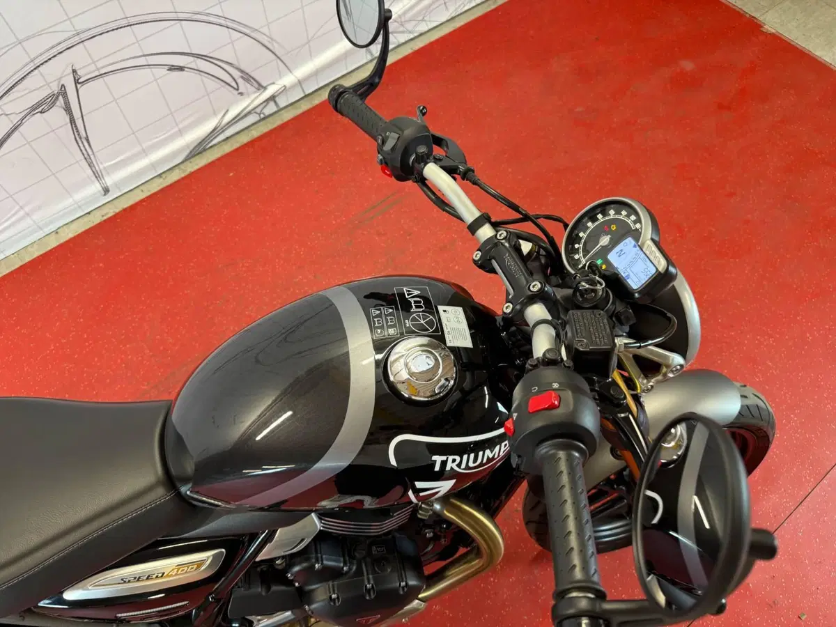 Triumph Speed 400 (2024 - 26) (8)