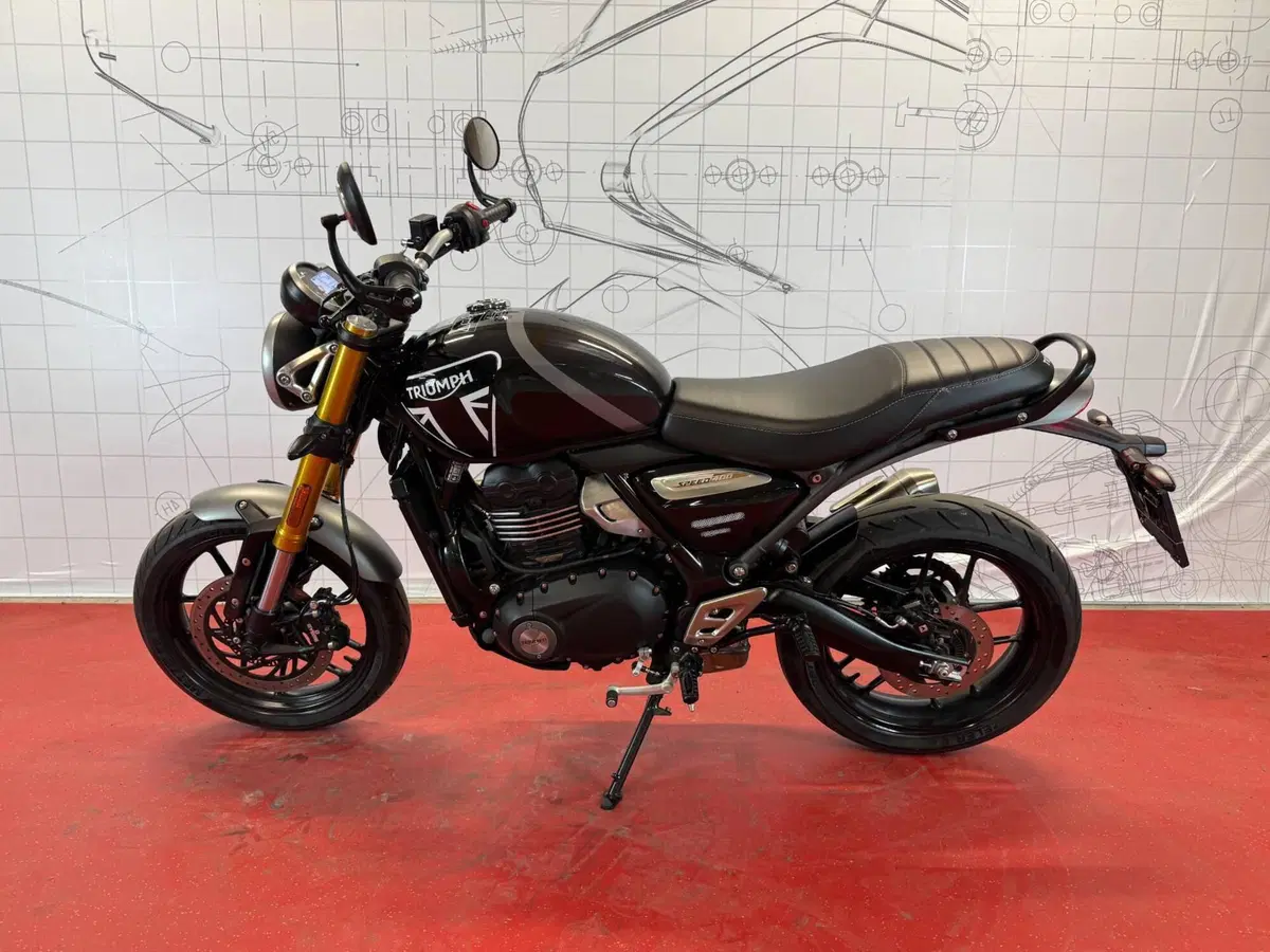 Triumph Speed 400 (2024 - 26) (4)