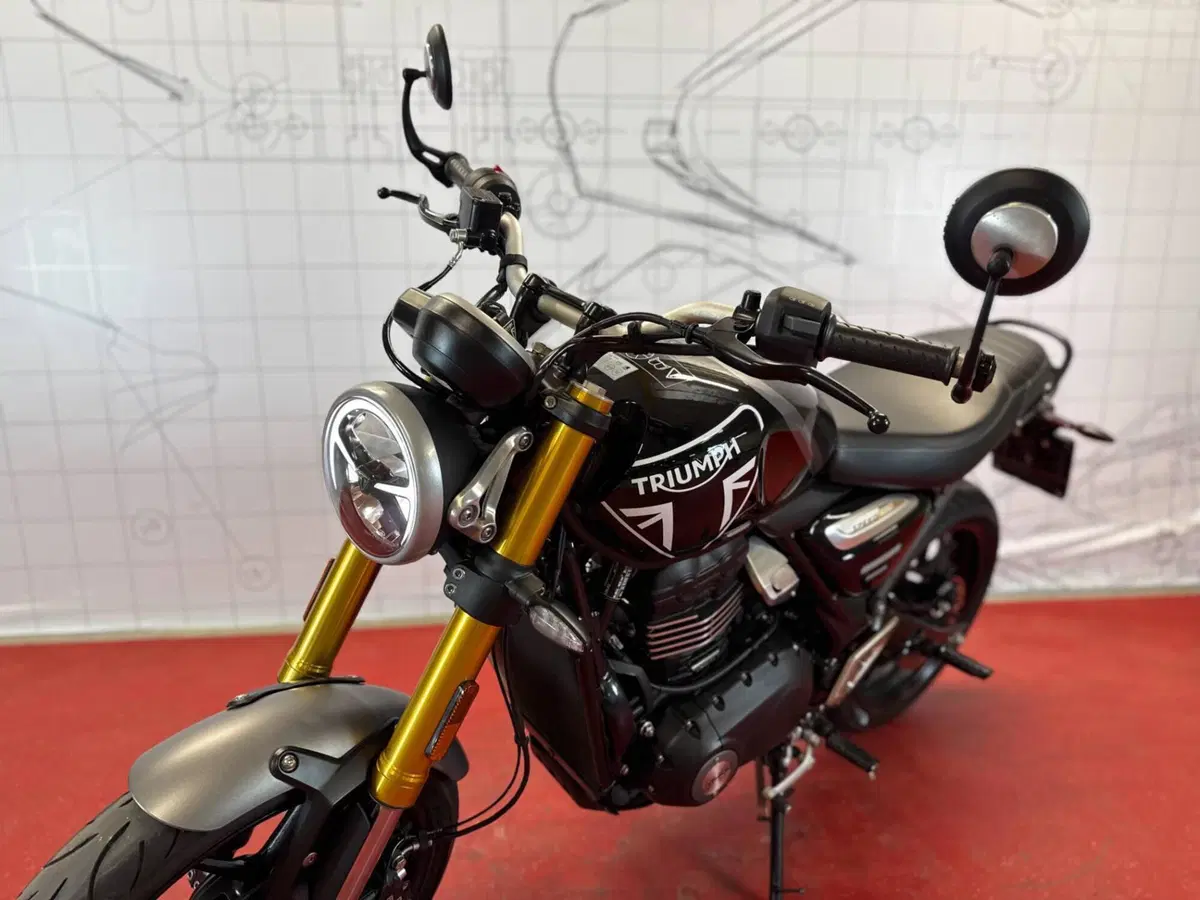Triumph Speed 400 (2024 - 26) (14)
