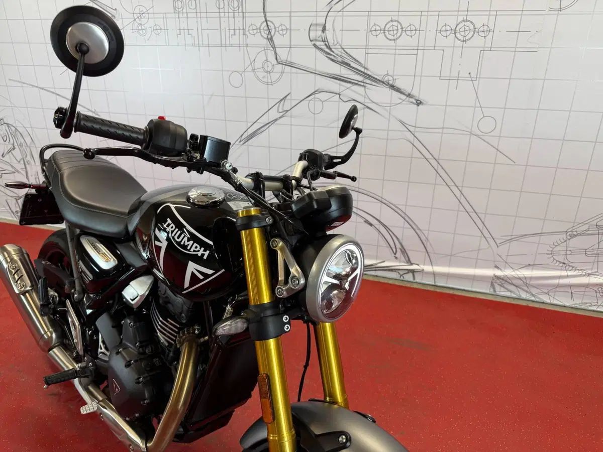 Triumph Speed 400 (2024 - 26) (10)
