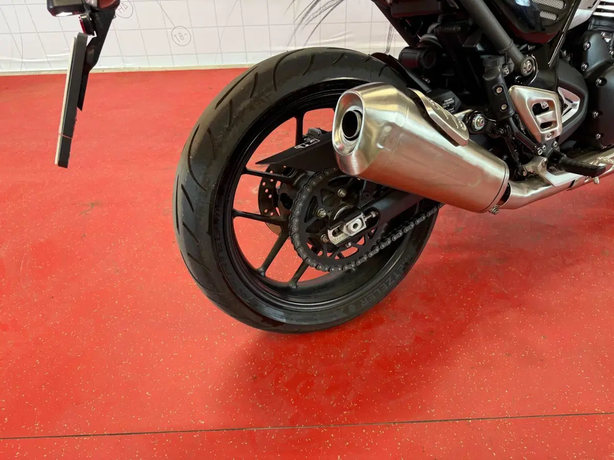 Triumph Speed 400 (2024 - 26) (11)