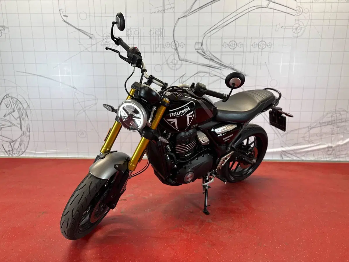Triumph Speed 400 (2024 - 26) (5)