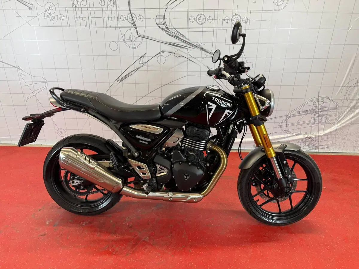 Triumph Speed 400 (2024 - 26)