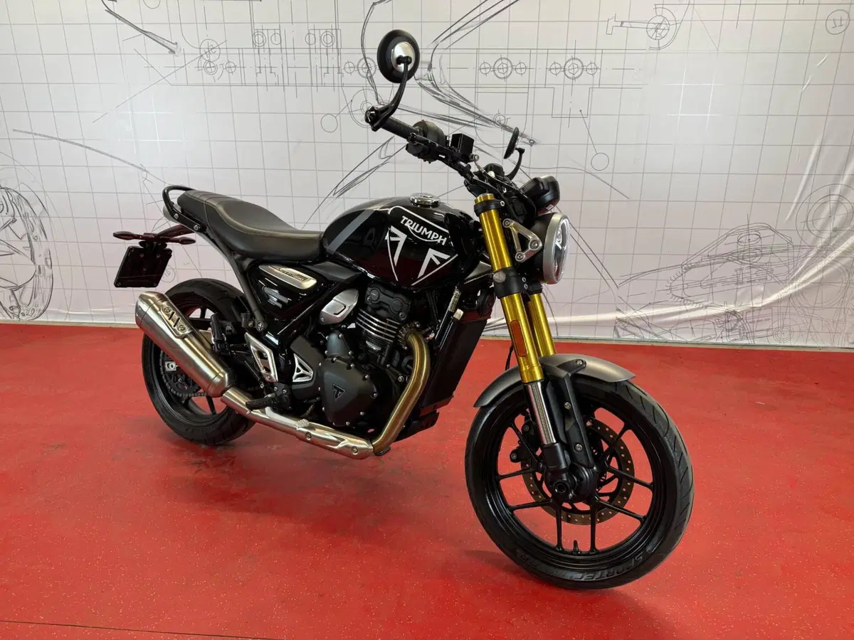 Triumph Speed 400 (2024 - 26) (2)