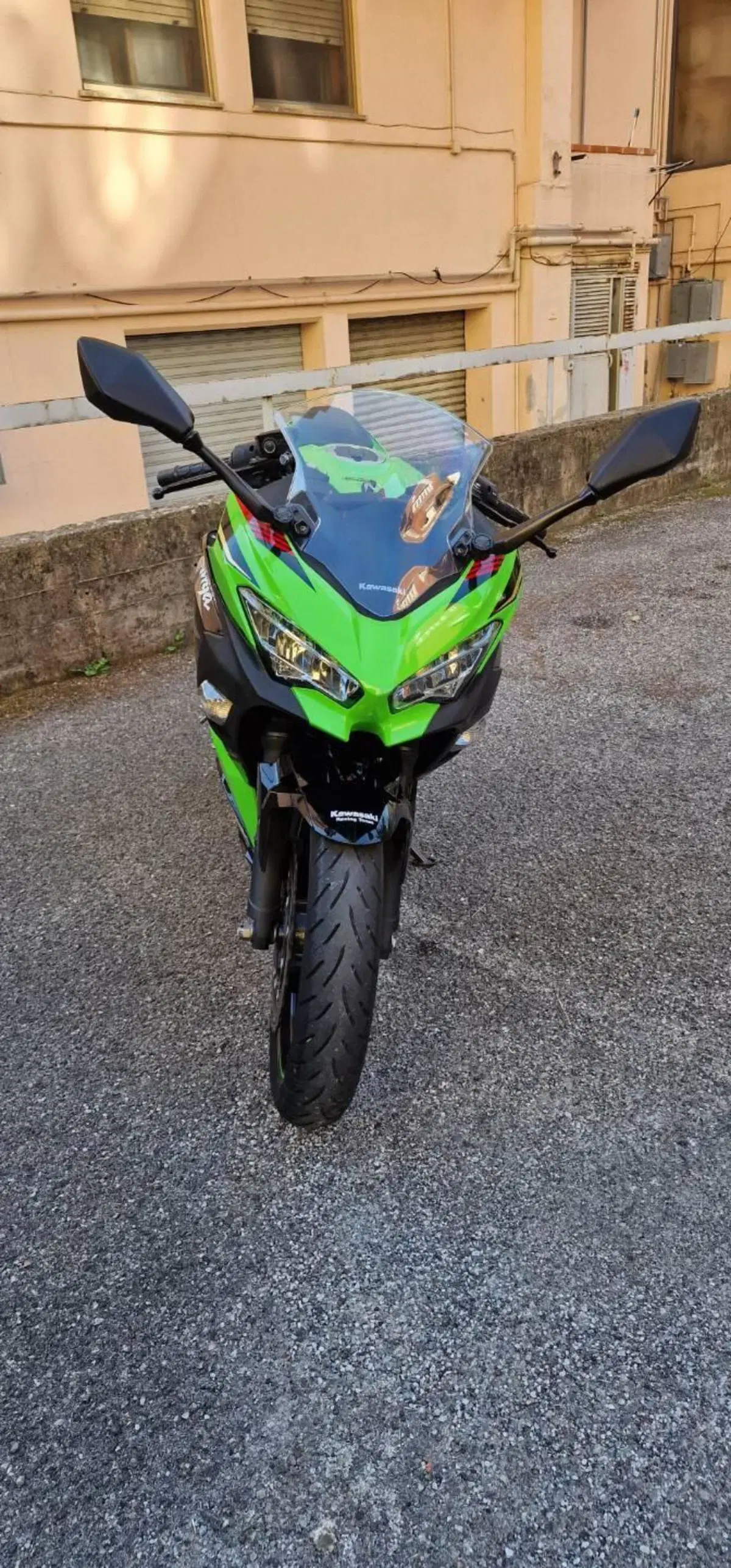 Kawasaki Ninja 400 (2018 - 20) (3)