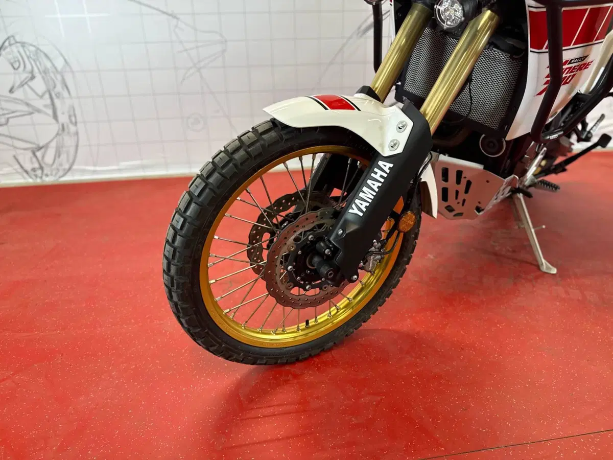 Yamaha Ténéré 700 Rally Edition (2022 - 24) (13)