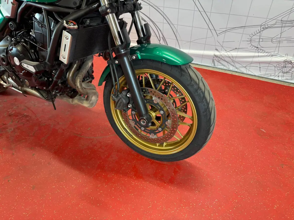 Kawasaki Z 650 RS (2022 - 24) (9)