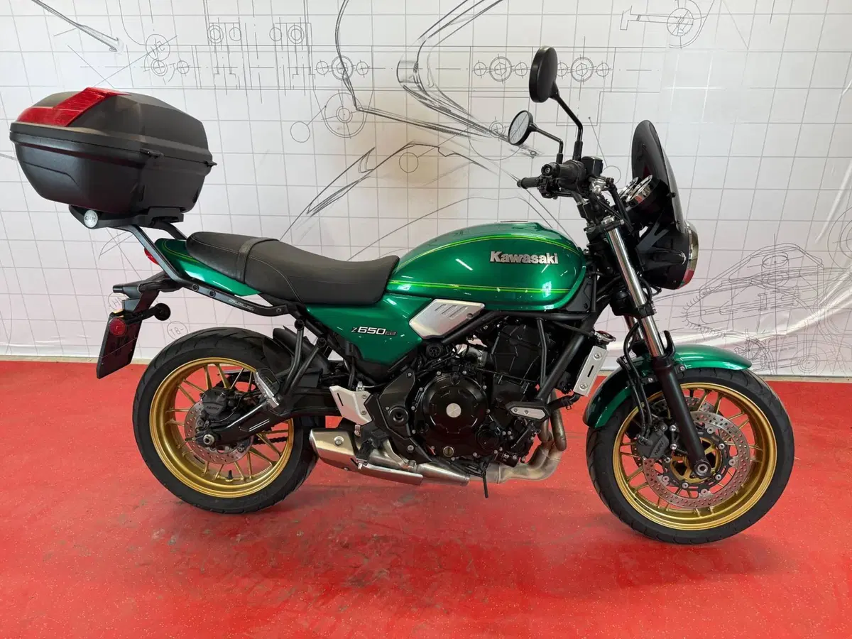 Kawasaki Z 650 RS (2022 - 24)