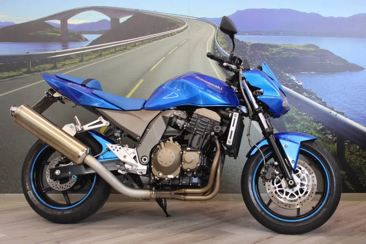 Kawasaki Z 750 (2003 - 06) (5)