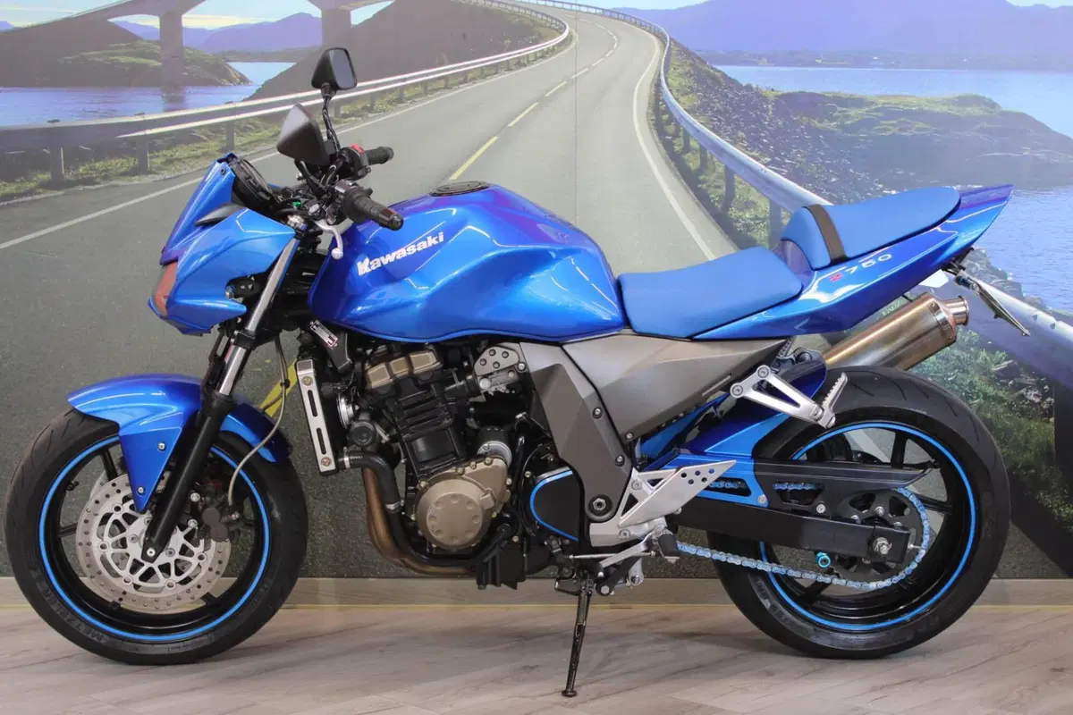 Kawasaki Z 750 (2003 - 06) (7)