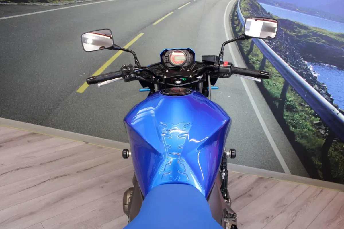 Kawasaki Z 750 (2003 - 06) (20)