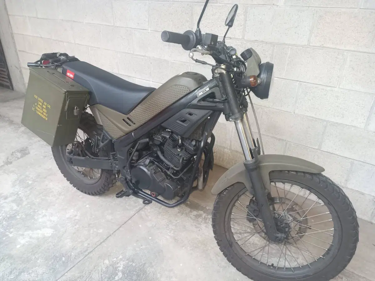 Rieju Tango 250 (2009 - 17) (3)