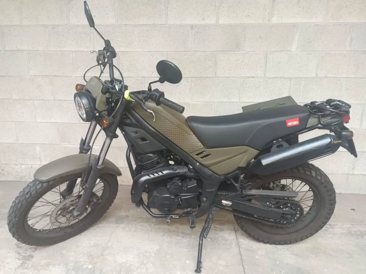 Rieju Tango 250 (2009 - 17) (4)