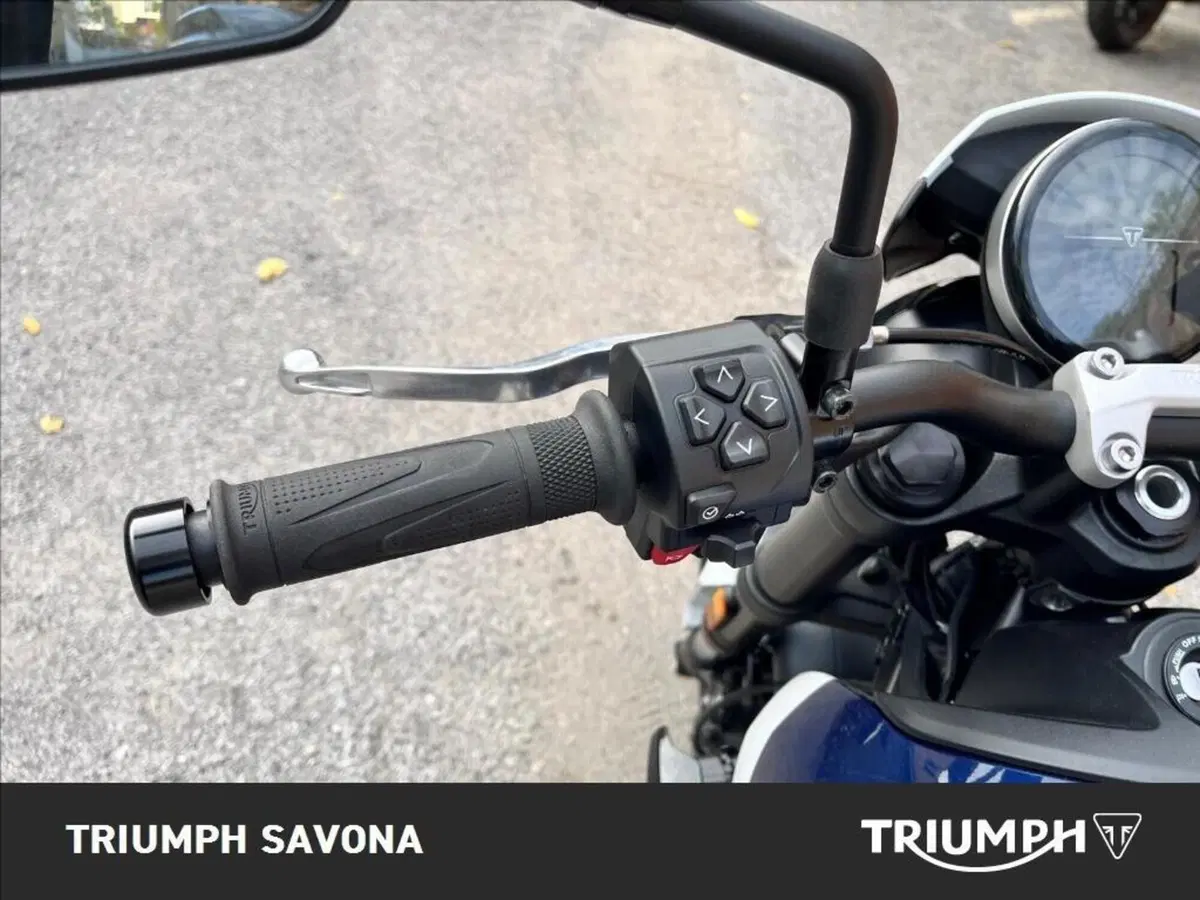 Triumph Trident 660 Triple Tribute Edition (2024) (5)