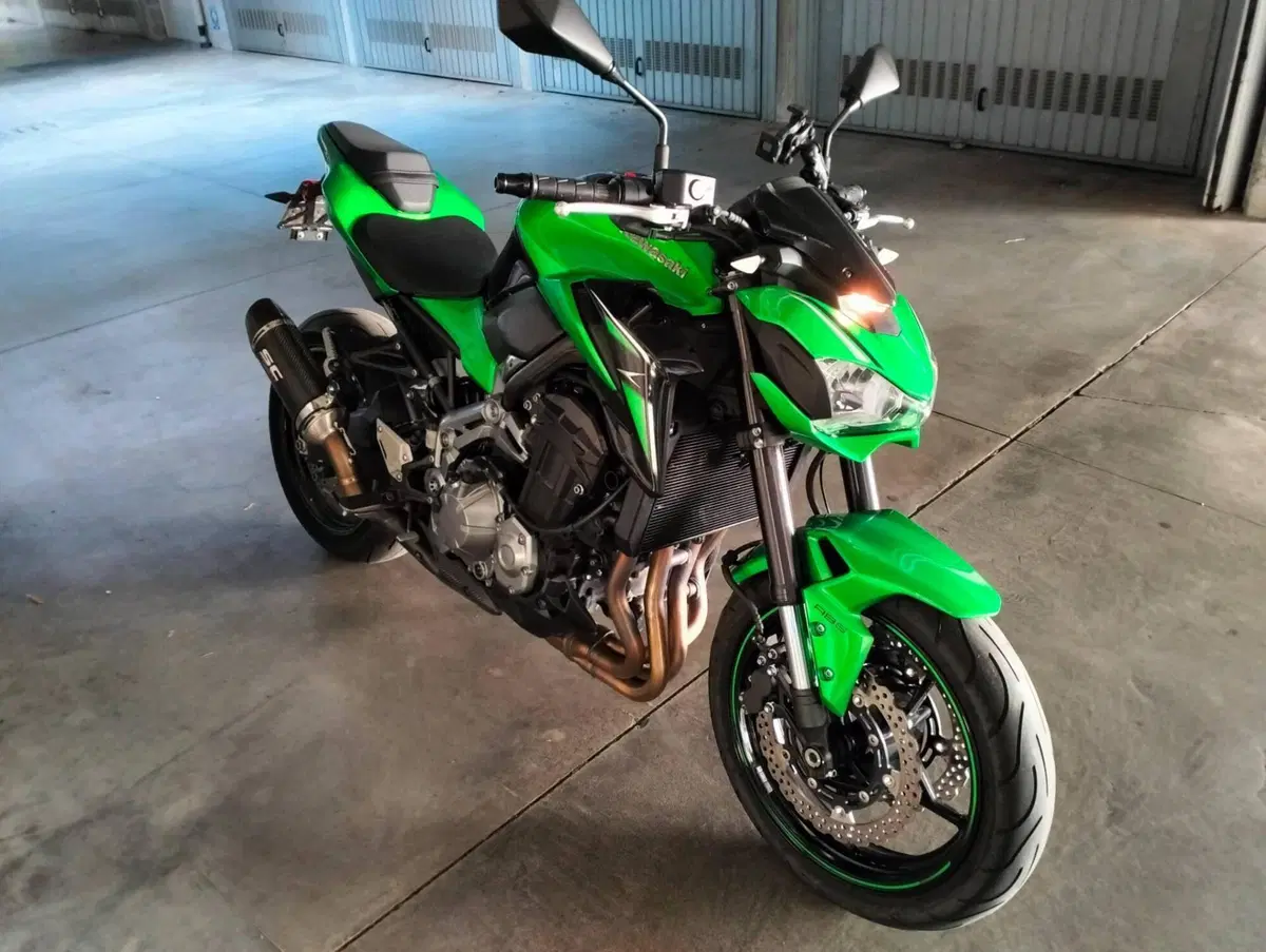 Kawasaki Z 900 (2017 - 18) (3)