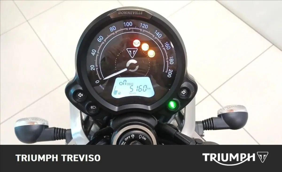 Triumph Speed Twin 900 (2023 - 24) (5)