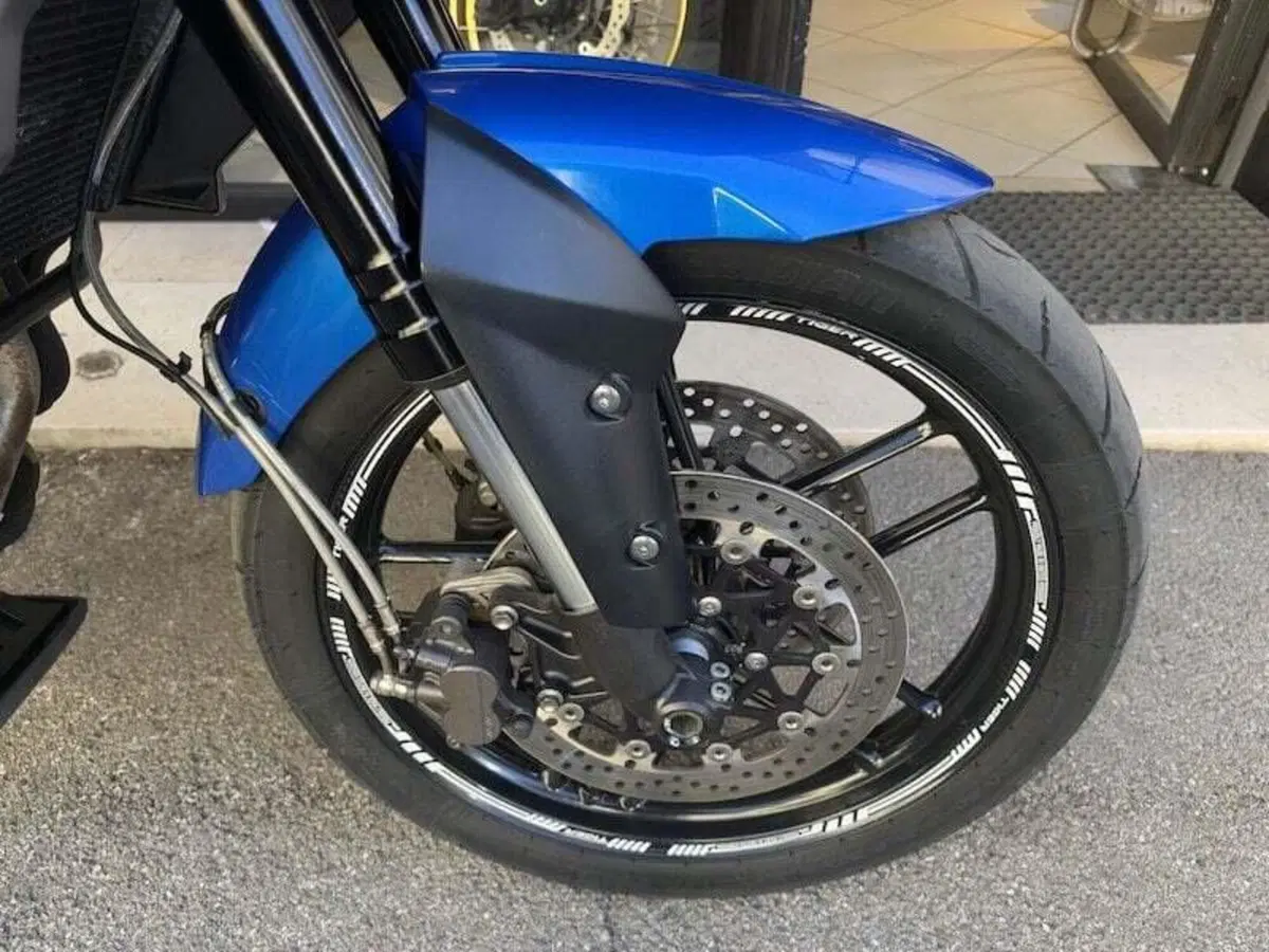 Triumph Tiger 800 XRx (2015 - 17) (13)