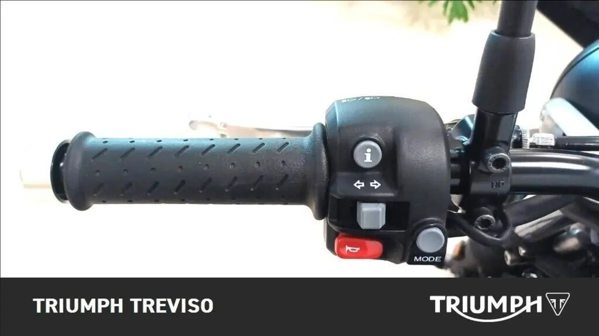 Triumph Speed Twin 900 (2023 - 24) (4)