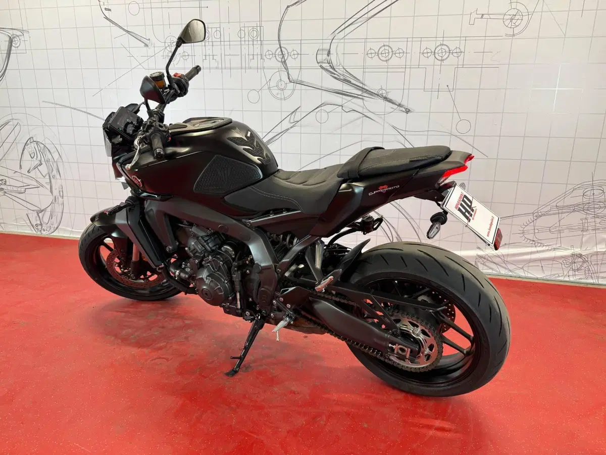 Yamaha MT-09 (2024 - 26) (6)