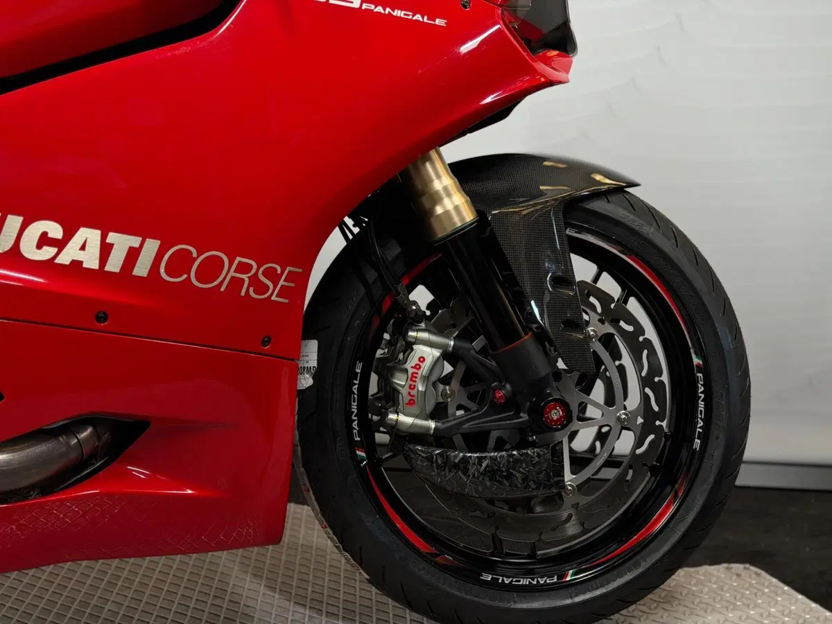 Ducati 1199 Panigale (2012 - 13) (4)
