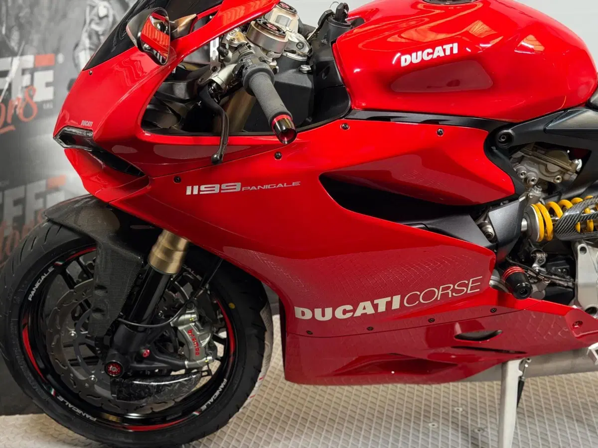 Ducati 1199 Panigale (2012 - 13) (9)