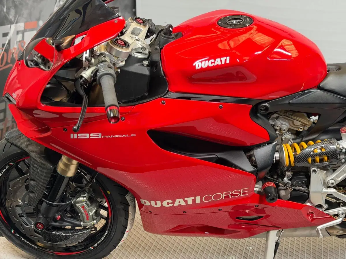 Ducati 1199 Panigale (2012 - 13) (11)