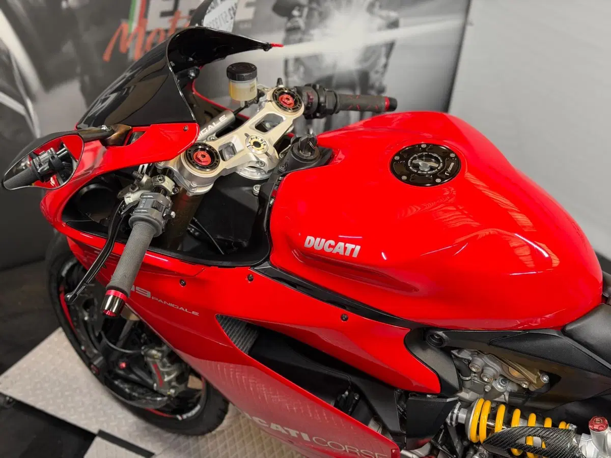 Ducati 1199 Panigale (2012 - 13) (12)