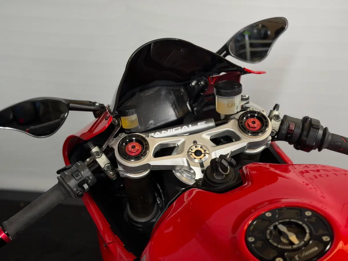 Ducati 1199 Panigale (2012 - 13) (15)