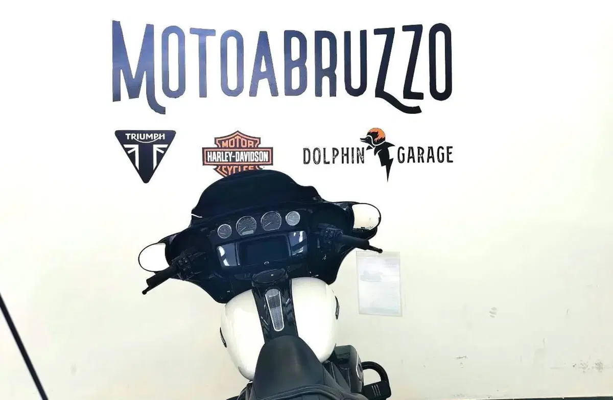 Harley-Davidson 114 Street Glide Special (2019 - 20) - FLHXS (11)