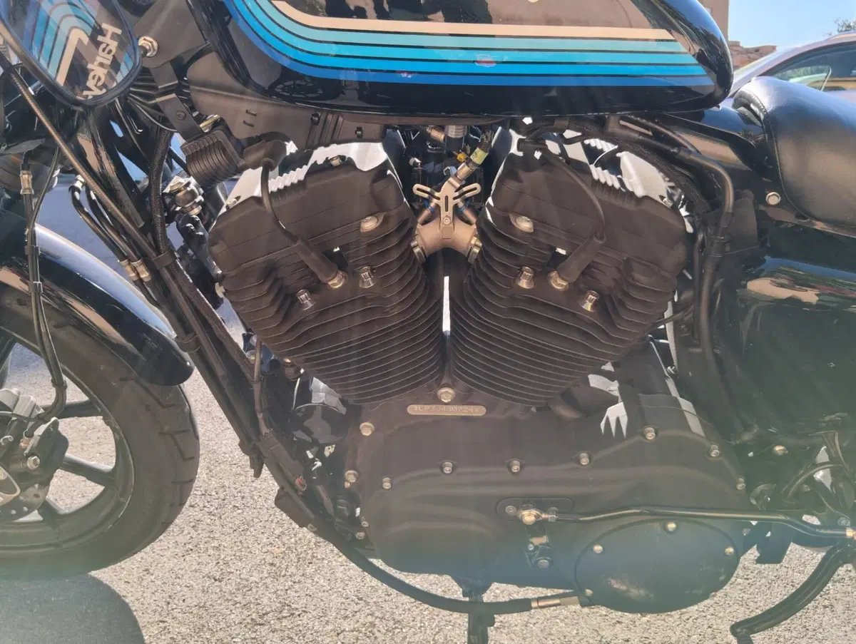 Harley-Davidson 1200 Iron (2018 - 20) - XL1200N (2)