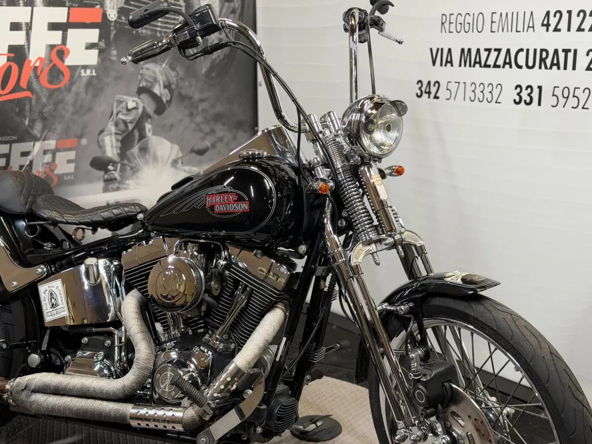 Harley-Davidson 1584 Custom (2008 - 09) - FXSTC (2)